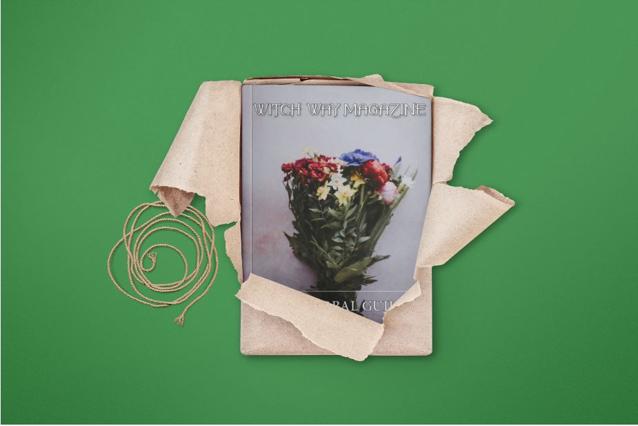 Witch Way Magazine 2019 Herbal Guide - Vol 4 - Printed